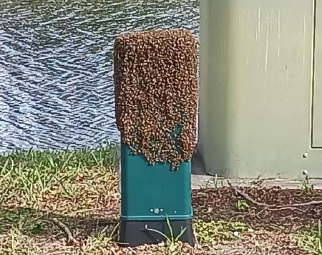 machinery occupied by pests