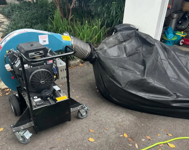 pest control service